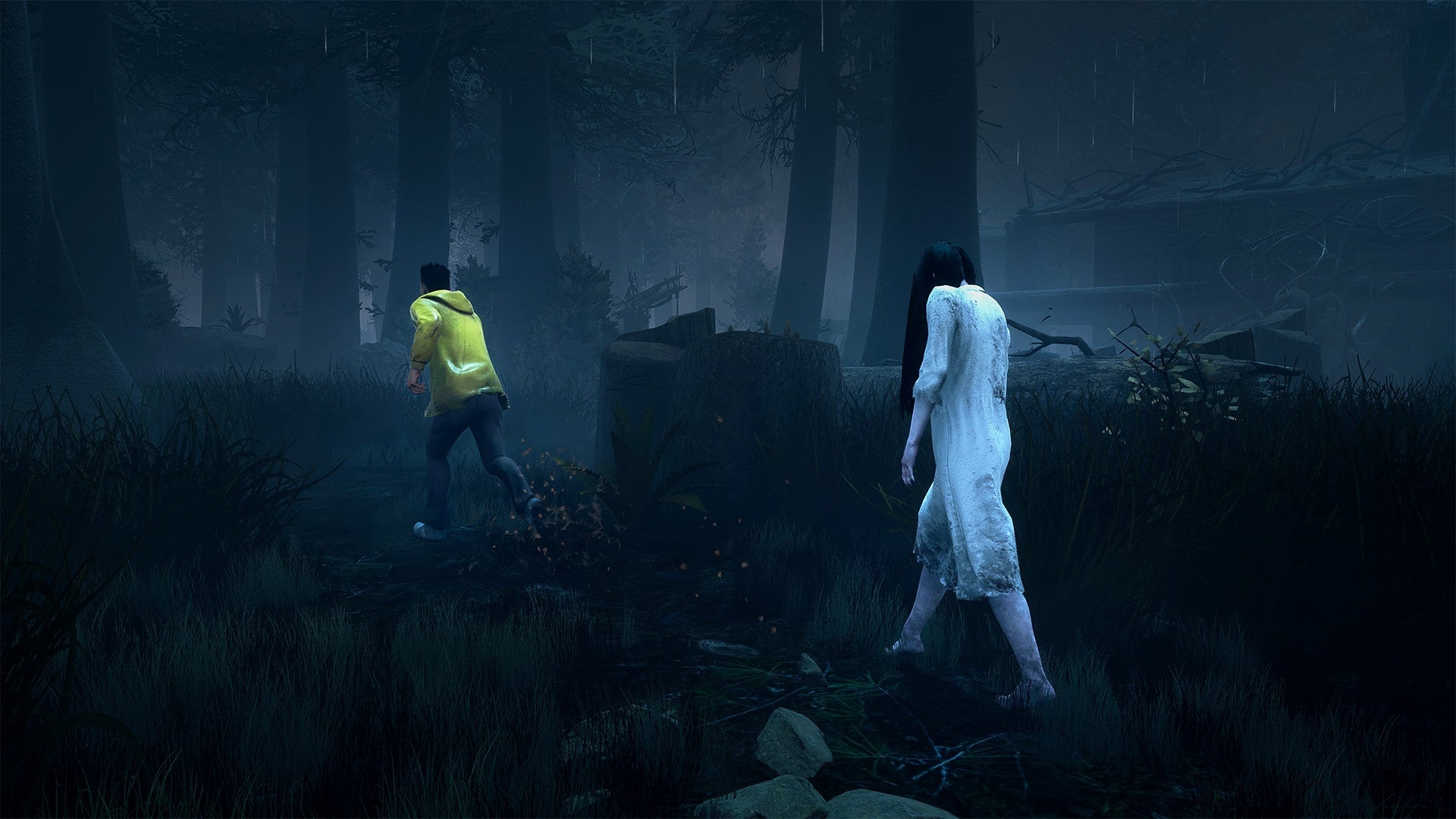 https://images.2game.com/screenshot/dead-by-daylight-sadako-rising-chapter-buy-cdkey-full-9.jpg