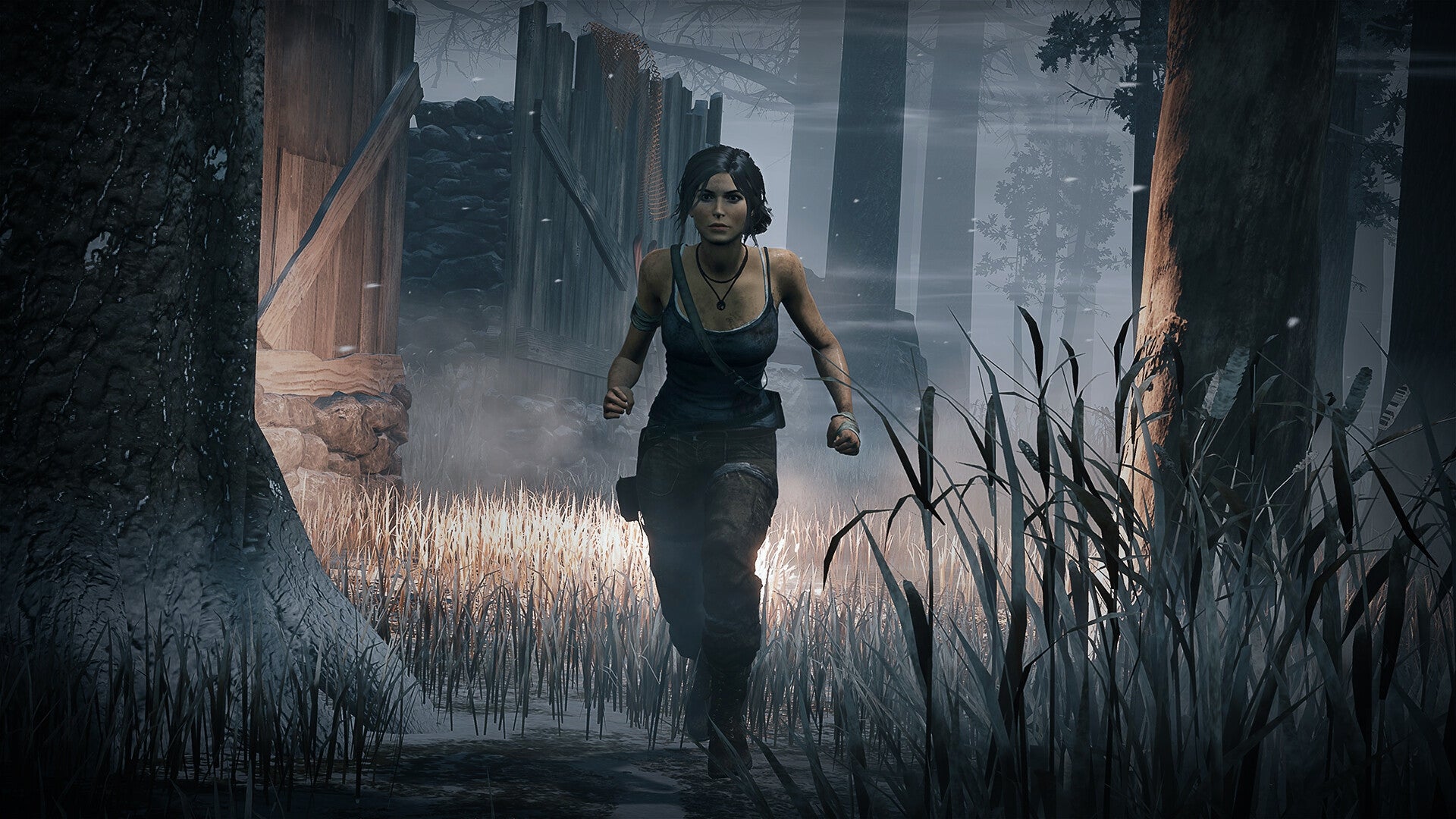 https://images.2game.com/screenshot/dead-by-daylight-tomb-raider-chapter-buy-cdkey-full-4.jpg