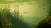 https://images.2game.com/screenshot/maneater-buy-cdkey-full-2.jpg