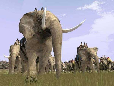 https://images.2game.com/screenshot/medieval-total-war-collection-buy-cdkey-full-3.jpg