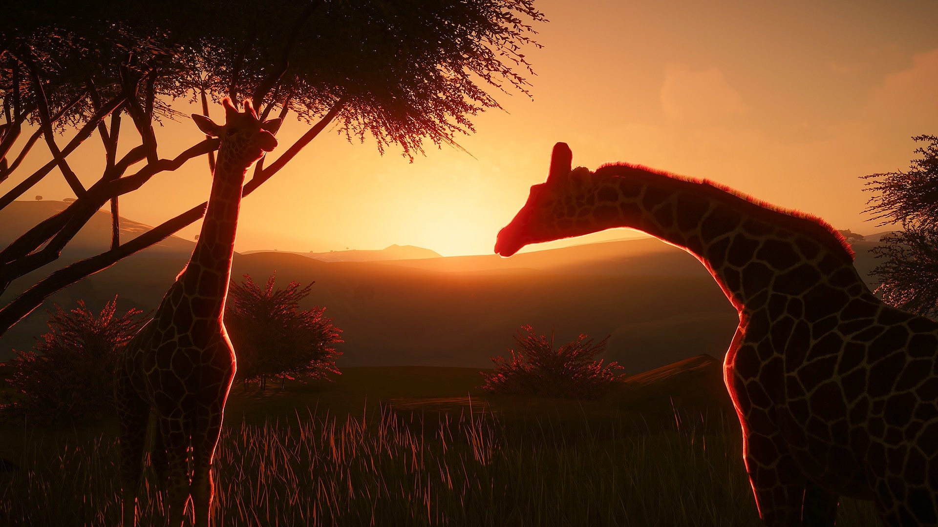 https://images.2game.com/screenshot/planet-zoo-buy-cdkey-full-21.jpg