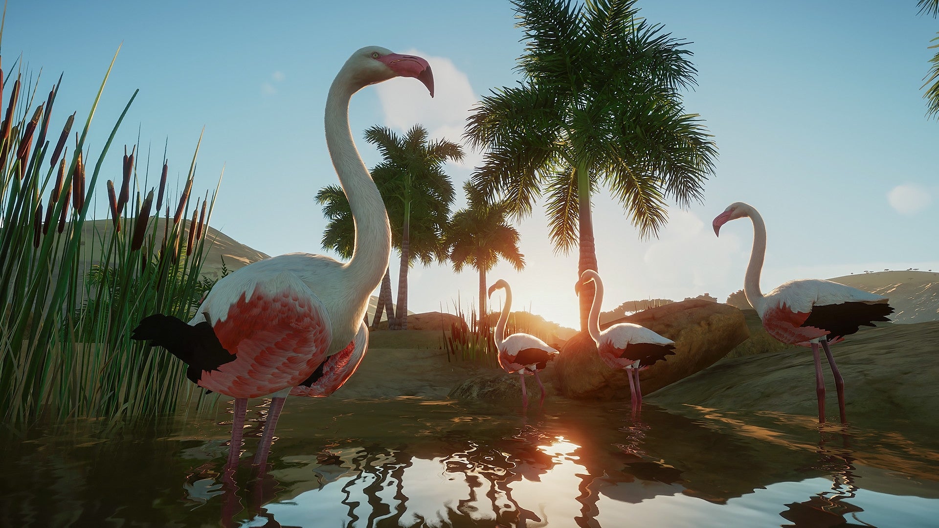 https://images.2game.com/screenshot/planet-zoo-buy-cdkey-full-23.jpg