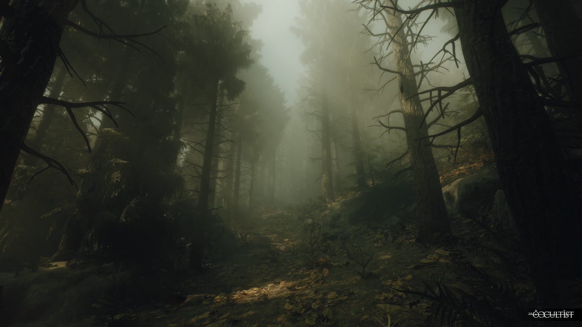 https://images.2game.com/screenshot/the-occultist-deluxe-edition-buy-cdkey-full-7.jpg
